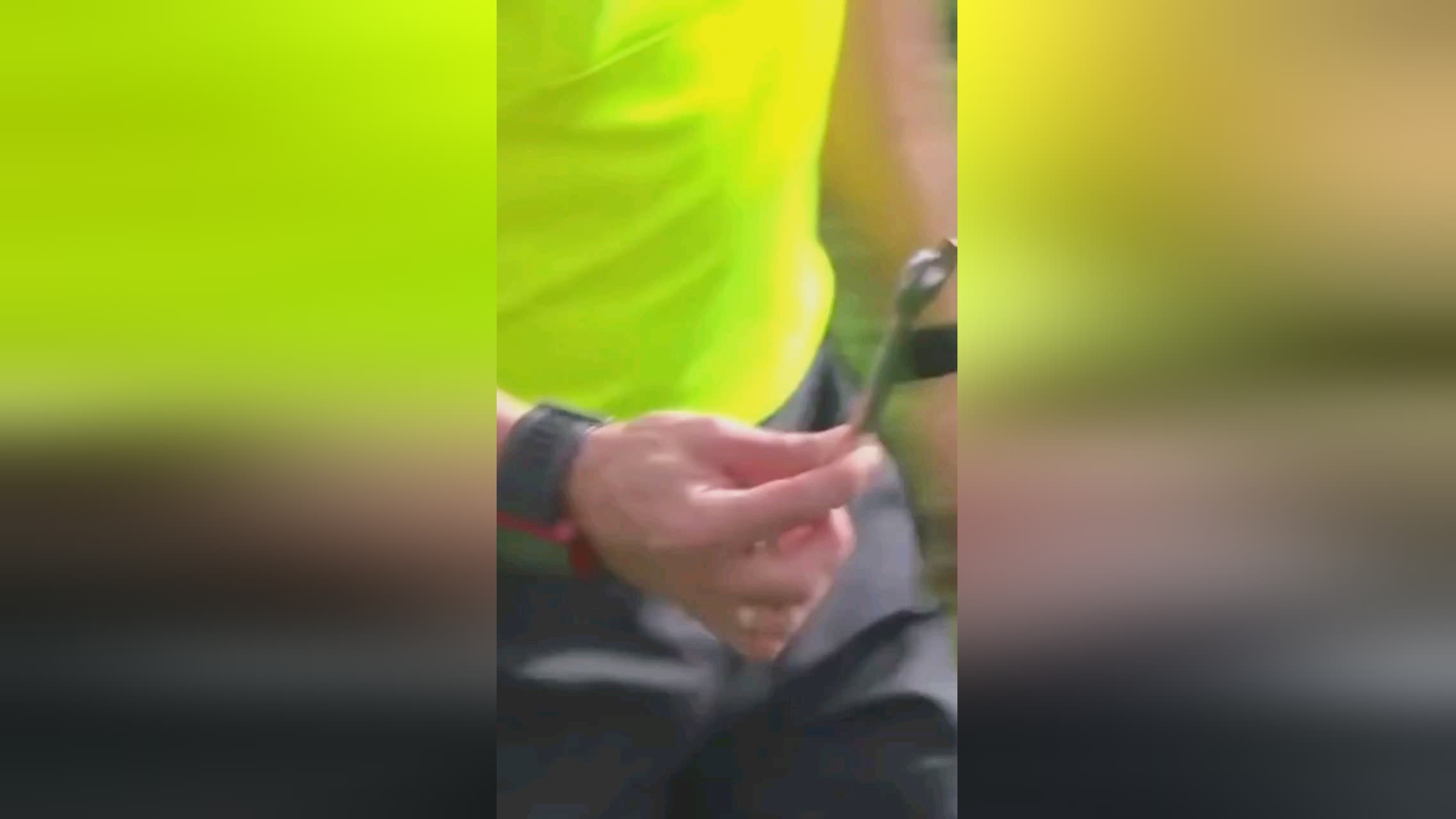 竞技状态